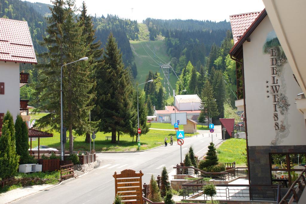 Edelweiss Poiana Hotels Poiana Brasov Rum bild